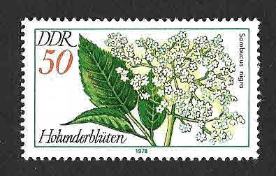 1880 - Plantas Medicinales (DDR)