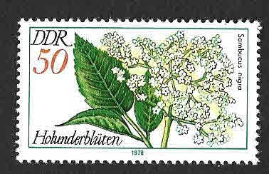 1880 - Plantas Medicinales (DDR)