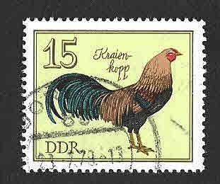 1983 - Gallo Alemán (DDR)