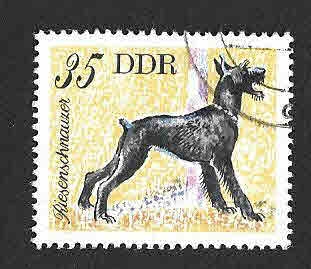 1753 - Schnauzer Gigante (DDR)