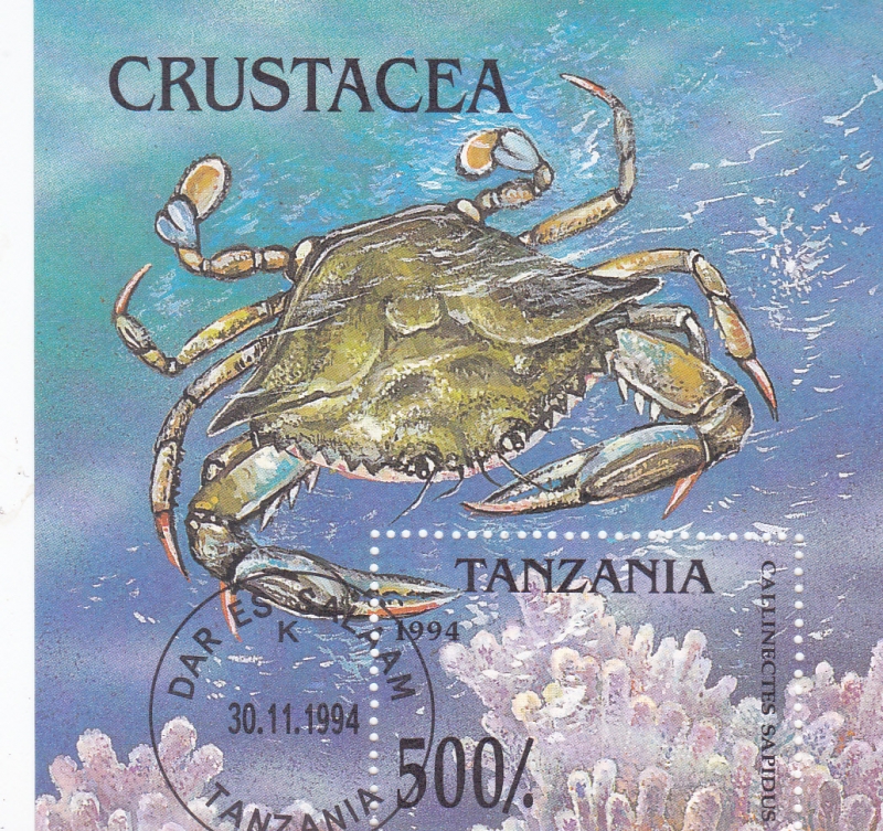 CRUSTACEO