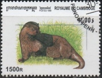 Nutria