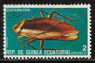 Cucaraccha