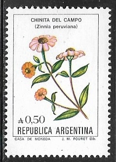 Flores - Chinita del campo