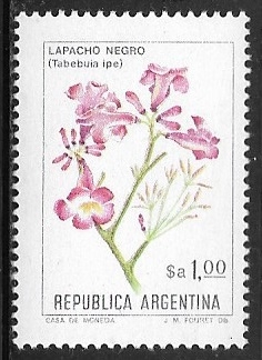 Flores - Lapacho Negro (Tabebuia impetiginosa)