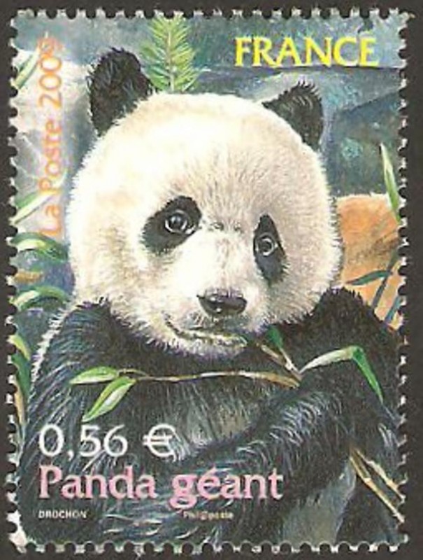 4372 - Panda Gigante,animal desaparecido o amenazado