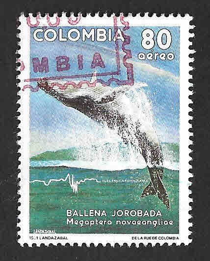 C839 - Ballena Jorobada