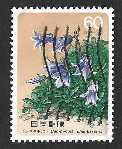 1580 - Campanula Chamissonis