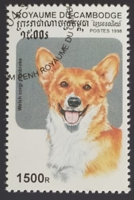 Welsh corgi