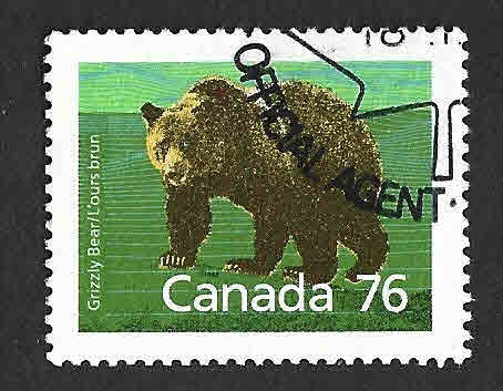 1178 - Oso Grizzly