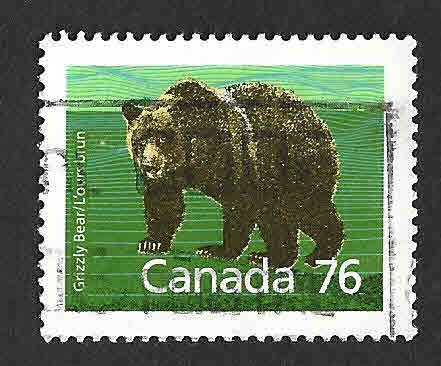 1178 - Oso Grizzly