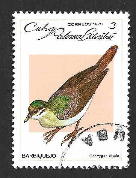 2228 - Barbiquejo