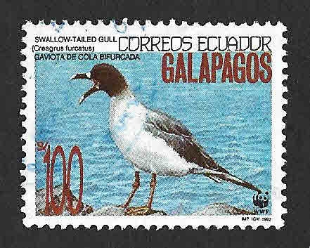 1284 - Gaviota de las Galápagos