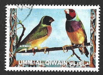 Mi1415A - Diamante de Gould (UMM Al-QAYWAYN)