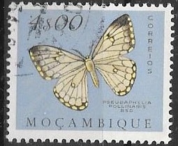 mariposas