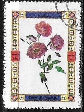 Flores - Rosas