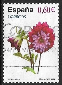 Flores - Dalia