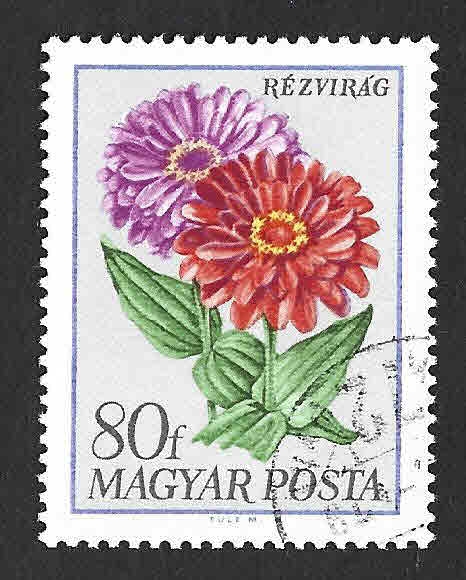 1928 - Zinnia