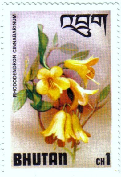 Stamp: Flor. Rhododendron cinnabarinum 1 ch multicolorof Bhutan Asia